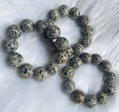 20mm Natural Dalmatian Jasper beaded bracelet