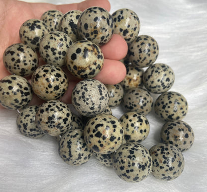 20mm Natural Dalmatian Jasper beaded bracelet